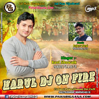 Harul Dj On Fire